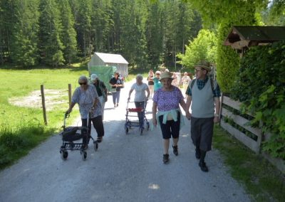 Mehrere ältere Personen gehen auf hellem Kiesweg, einige verwenden Rollatoren; Wiese und Nadelwald im Hintergrund.