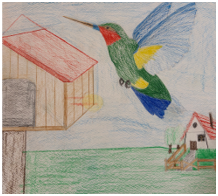Buntstiftzeichnung eines fliegenden Kolibris neben einem Futterhaus, mit Haus und grünem Feld im Hintergrund.